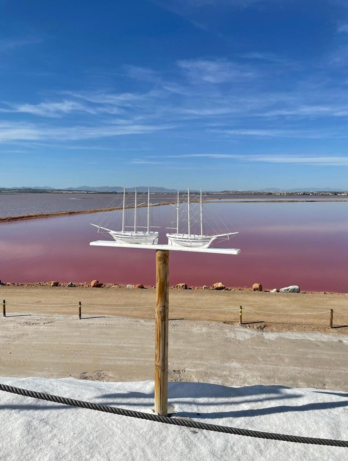 La Margarita Leilighet Torrevieja Eksteriør bilde