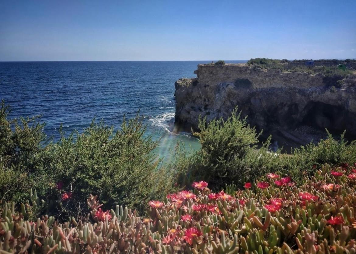 La Margarita Leilighet Torrevieja Eksteriør bilde